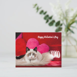 Gelukkig Valentijnsdag briefkaart