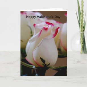 Gelukkig Valentijnsdag Feestdagen Kaart