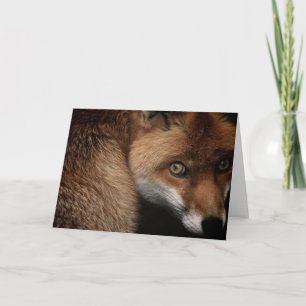 Gelukkig Valentijnsdag   Fox Face   Jouw namen toe Bedankkaart