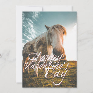 Gelukkig Valentijnsdag met uitziende paarden