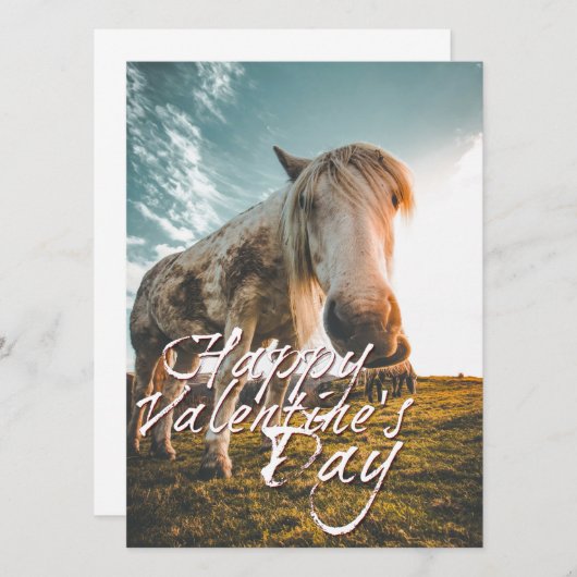 Gelukkig Valentijnsdag met uitziende paarden (Voorkant / Achterkant)