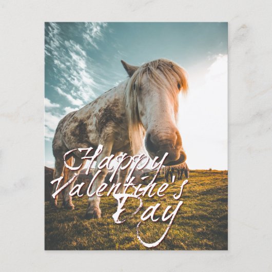 Gelukkig Valentijnsdag met uitziende paarden (Voorkant)