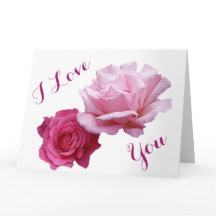 Gelukkig Valentijnsdag mooie roze rozen romantisch