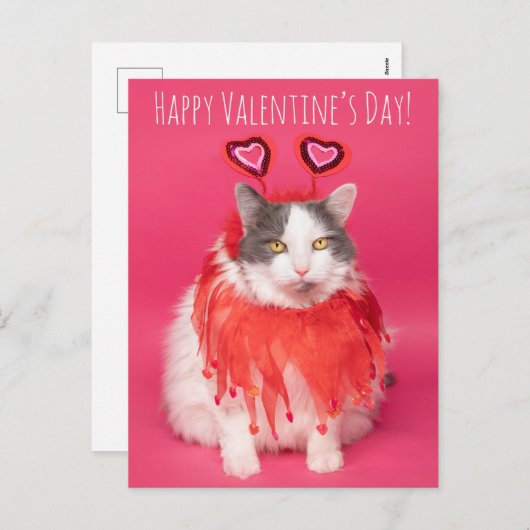 Gelukkig Valentijnsdag Warm en Fuzzy Cat Feestdagenkaart (Voorkant / Achterkant)