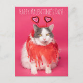 Gelukkig Valentijnsdag Warm en Fuzzy Cat Feestdagenkaart (Voorkant)