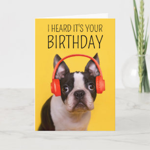 Gelukkig Verjaardag   Boston Terrier Kaart