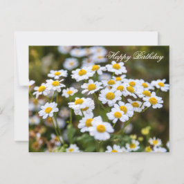 Gelukkig Verjaardag Briefkaart