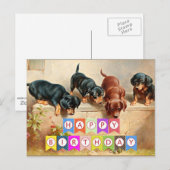 Gelukkig Verjaardag, Dachshond pups, Briefkaart (Voorkant / Achterkant)