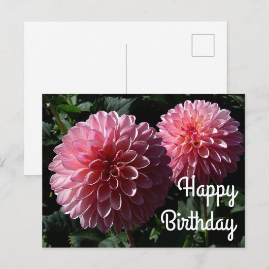 Gelukkig Verjaardag Dahlia Valley Porcupine #1 Ans Briefkaart (Voorkant / Achterkant)