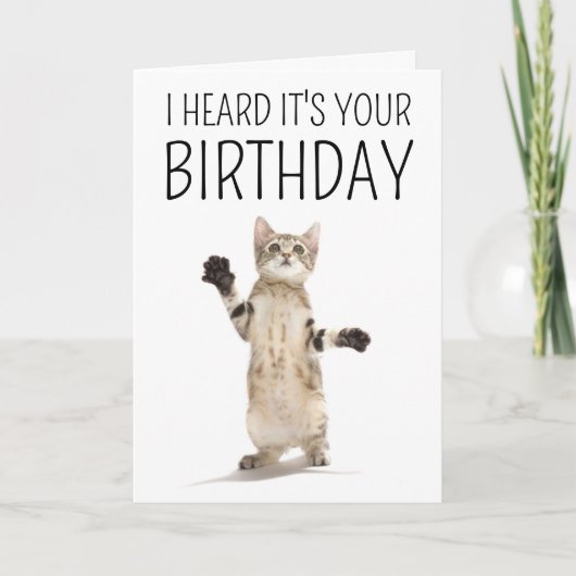 Gelukkig Verjaardag | Kitten op Wit Kaart (Voorkant)