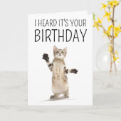 Gelukkig Verjaardag | Kitten op Wit Kaart (Gele Bloem)