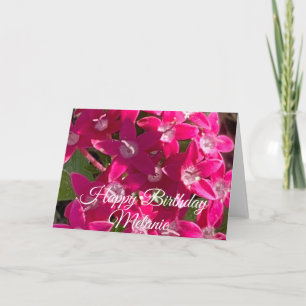 Gelukkig Verjaardag Roze Pixies Kaart