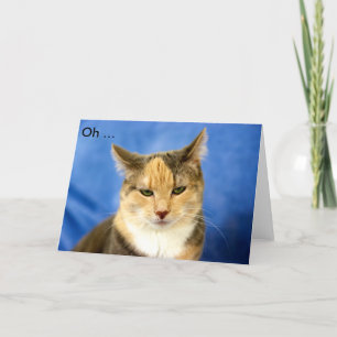 GELUKKIG VERJAARDAG! Verjaardag Kaart met kat