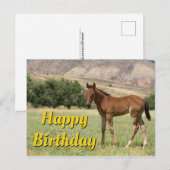 Gelukkig Verjaardag Veulen Briefkaart (Voorkant / Achterkant)