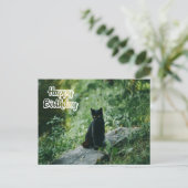 Gelukkig Verjaardag Zwarte Kat Buiten  Briefkaart (Staand voorkant)