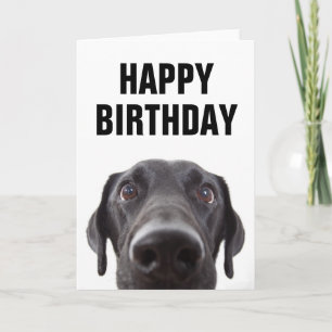 Gelukkig Verjaardag   Zwarte Labrador Kaart