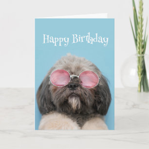 Gelukkig Verjaardags Humor Blijf cool Plezier Hond Kaart