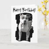 Gelukkig verjaardags pitbull wenskaart kaart (Gele Bloem)