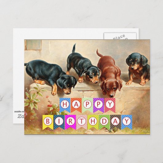 Gelukkig verjaardagsfeest, Dachshond-puppy's, Briefkaart (Voorkant / Achterkant)
