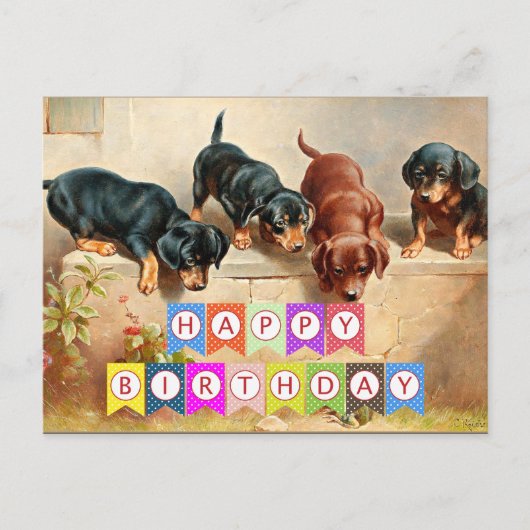 Gelukkig verjaardagsfeest, Dachshond-puppy's, Briefkaart (Voorkant)