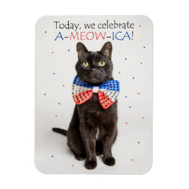 Gelukkig vierde juli voor iedereen die een patriot magneet