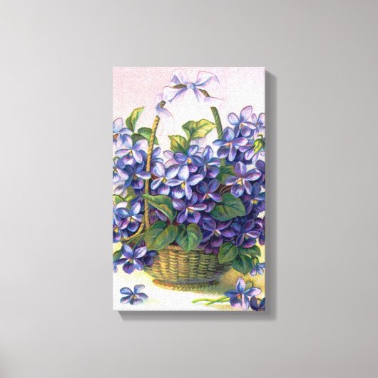Gelukkig Violets mand verpakt canvas Afdruk (Voorkant)