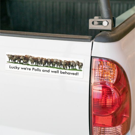 Gelukkig zijn we Poll Herefords Bumpersticker (Op Truck)
