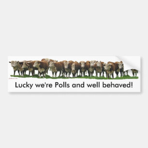 Gelukkig zijn we Poll Herefords Bumpersticker