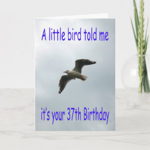 Gelukkige 37e verjaardag Vliegende meeuw vogel Kaart