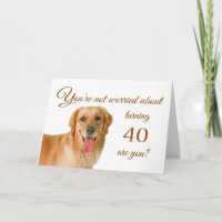 Gelukkige 40ste verjaardag, bezorgd lab