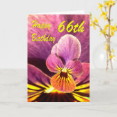 Gelukkige 66e Verjaardag Bloem Pansy Kaart (Gele Bloem)