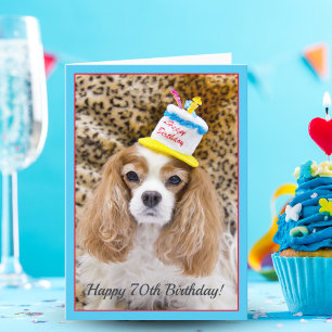 Gelukkige 70e verjaardag Cavalier King Charles ver Kaart