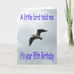 Gelukkige 95e verjaardag meeuw vogel kaart