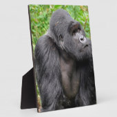 Gelukkige Aap Fotoplaat (Zijkant)