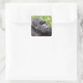 Gelukkige Aap Vierkante Sticker (Tas)