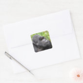 Gelukkige Aap Vierkante Sticker (Envelop)