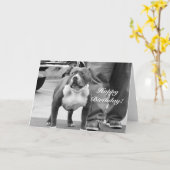 Gelukkige Amerikaanse Staffordshire Terrier van de Kaart (Gele Bloem)