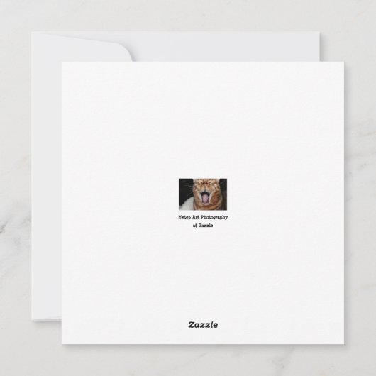 Gelukkige Bengaalse kat  "Had je een cadeautje geg Feestdagenkaart (Achterkant)