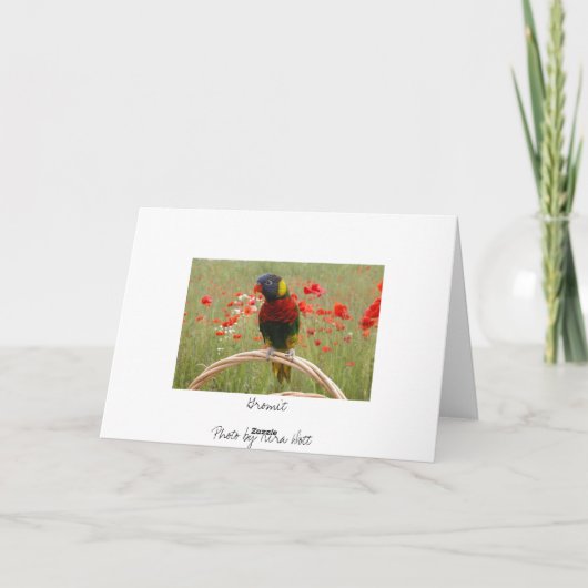 Gelukkige Birdday! Kaart (Achterkant)