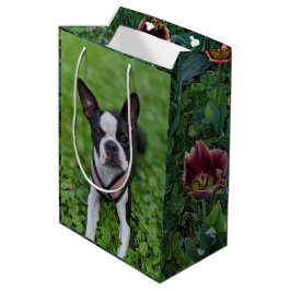 Gelukkige Boston Terrier met Bloemen Fotografie Medium Cadeauzakje