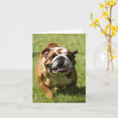 Gelukkige Buldog die in Gras lopen Kaart (Gele Bloem)