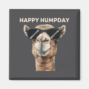 Gelukkige Bultdag Kameel Grappige Midweek Motivere Magneet