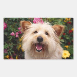 Gelukkige Cairn Terrier Puppychond in Tuin Sticker
