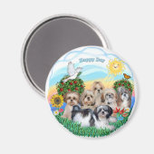Gelukkige Dag met Zes Shih Tzus Magneet (Voorkant / Achterkant)