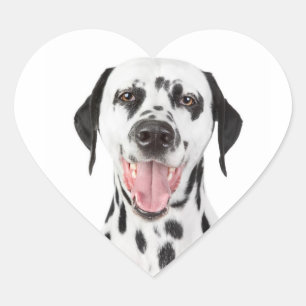 Gelukkige Dalmatische Puppy Hond Groet Sticker Lab