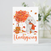 gelukkige deanksgiving poodle en herfstboompoedel (Staand voorkant)