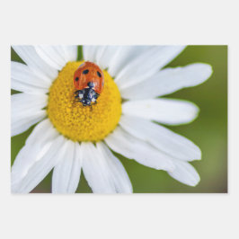 Gelukkige duivel met dit lieveheersbeestje! inpakpapier vel