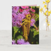 Gelukkige Grasshopper verjaardag Kaart (Gele Bloem)