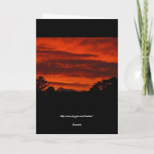 Gelukkige Groeten - 41 - Kaart (Achterkant)