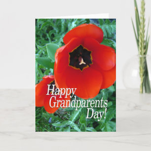 Gelukkige grootouderdag - Poppy Flowers Kaart